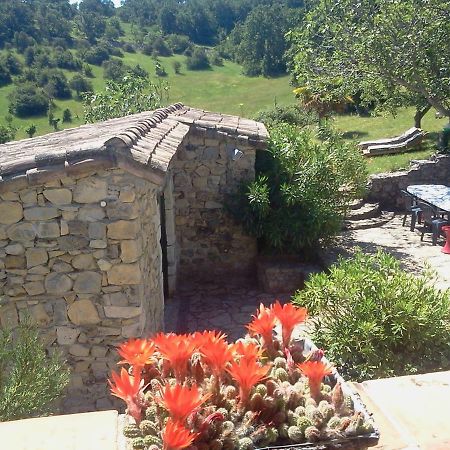 Bed and Breakfast Le Relais de Vazeille Saint-Maurice-dʼIbie Exterior foto